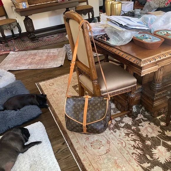 🌟🌟HOST PICK🌟🌟Absolutely Stunning Louis Vuitton Saddle Bag Purse - Picture 1 of 17